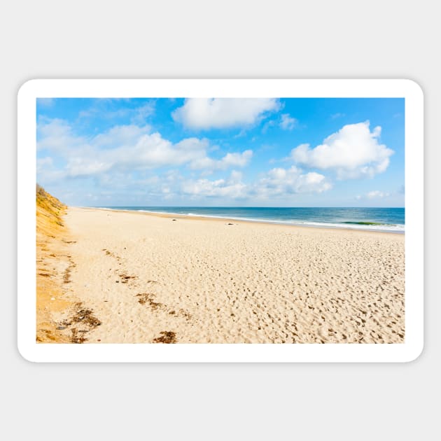 Nauset Beach,  Seashore along beach with view to horizon. Cape Cod, USA.  imagine this on a  card or gracing your room as wall art fine art canvas or framed print on your wall Sticker by brians101